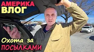 Охота за потерянными посылками, наш улов / Куда поступает Соня, учёба детей / Лучшая находка из всех