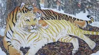 Уссурийский тигр.Международный день тигра. В.Сысоев 