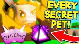 HOW TO GET EVERY SECRET PET IN BUBBLE GUM SIMULATOR 2020! *SUPER OP*