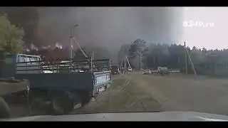 Кто на самом деле поджигает леса? Вот ответ