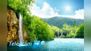 Tushda PESHOB (sidik) korsa nima bo'ladi❓
