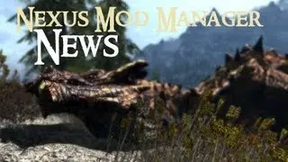 Nexus Mod Manager : File not found?
