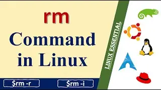 rm command in Linux: Deleting Files