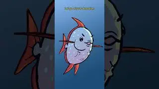 The Opah & The Oarfish 🌡️🛶🐟 