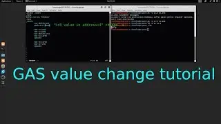 GAS x64 GNU Assembler variable value change tutorial in Linux