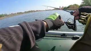 Рыбалка на карасей. Косшы Астана. Fishing battle 