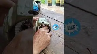Motor winding|Electric motor winding|Hi power electric works #shorts #motor