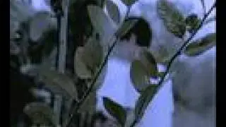 Dou Shi Ni (It's All You) - Guang Liang