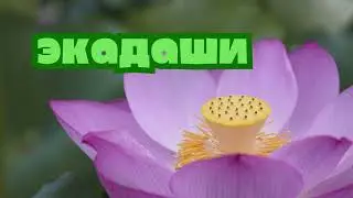 30 августа 2024 Не пропусти. Экадаши. Что это такое? Как соблюдать? ЕМ Лакшми Нараяна прабху.