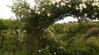 How to Design a Romantic Garden | P. Allen Smith Classics