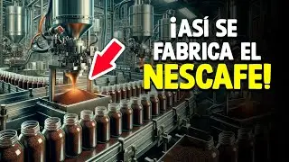 ¿Cómo Se Hace El Café? [Proceso en fábrica]