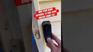 Did you know the Blink doorbell could do this? 