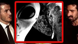 Why elephants are like aliens | Paul Rosolie and Lex Fridman