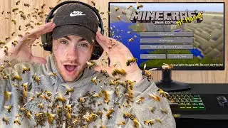 Beating Minecraft While SWARMED by BEES