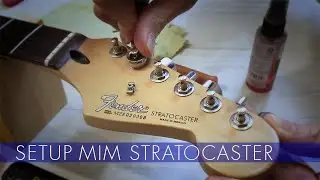 Setup MIM Stratocaster