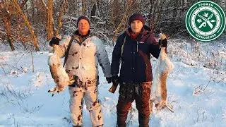 ПЯТЕРО НА ОДНОГО ! КТО КОГО? Охота на зайца 2021