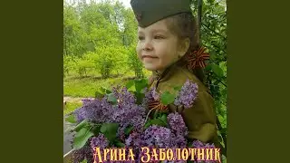 Пилотка