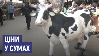 Товари та ціни: що купують сумчани під час війни