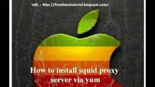 Linux Squid Proxy Server Installation and Basic Configuration (Centos 5.5) (Hafiz Haider)