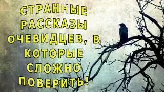 "Я видел это!" Мистические истории.