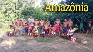 Eles vivem no meio da floresta amazônica