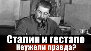 Сталин и гестапо. Неужели правда?