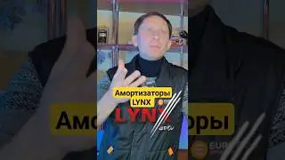 Амортизаторы от LYNX AUTO плохо или нет? 