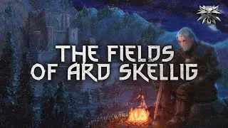 The Fields of Ard Skellig but its lofi ~ The Witcher Lofi Beats