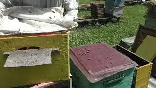 СЕМЬЯ, А ФАКТИЧЕСКИ 2 ОТВОДКА.