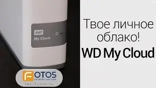 Обзор сетевого жесткого диска Western Digital My Cloud