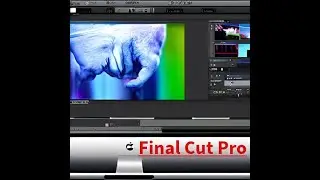 Монтаж видео в Final Cut Pro для новичков