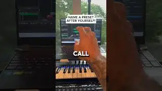 NAME A VST PLUGIN PRESET AFTER YOURSELF!