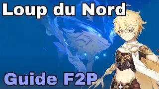 GUIDE le LOUP du NORD en team F2P Genshin Impact FR