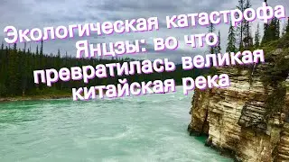 Экологическая катастрофа Янцзы: во что превратилась великая китайская река