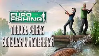 Euro Fishing ОБУЧЕНИЕ ЛОВИСЬ РЫБКА БОЛЬШАЯ И МАЛЕНЬКАЯ