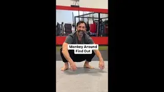 Monkey around to improve strength, mobility, and control