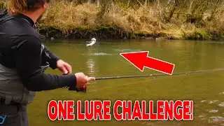 One LURE Winter STEELHEAD Fishing CHALLENGE!