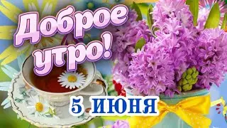 Доброго утра и ещё лучшего дня! ❤️ Доброго утречка Вам! 👌Самые теплые пожелания с Добрым утром! 🎀