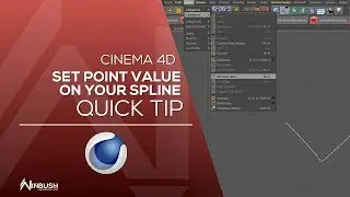 Cinema 4D Quick Tip - Setting your Point or Vertices value on your spline