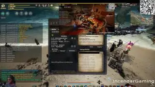 How to AFK Guild Quests in Black Desert Online BDO