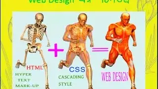 Basic Structure of an HTML Web Page