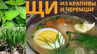 ЩИ ВЕСЕННИЕ С МОЛОДОЙ КРАПИВОЙ И СВЕЖЕЙ ЧЕРЕМШОЙ! 