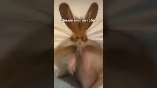 Каждые выходные 
