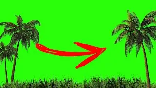 Palm trees and Grass on Green screen - Palm trees and Grass on Chroma key