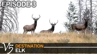 Back to Back Elk Tags Filled??? EPISODE 3 (Destination Elk V5)