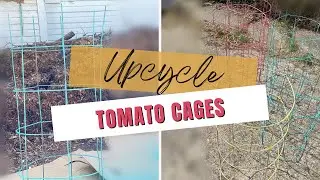 These tomato cages were TRASH