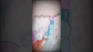 Самый любимый момент в этой серии 😍🥰🤗