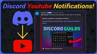 How to Setup Social Media Notifications your Discord Server!