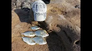 Рыбалка на море и мой трофейный ласкирь.