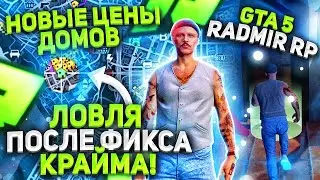 НОВЫЕ ЦЕНЫ ДОМОВ! ЛОВЛЯ ПОСЛЕ ФИКСА КРАЙМА! В GTA 5 RP | RADMIR RP